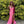 Ava Presley 38889 Fitted Sequined Dress with Slit - Hot Pink, Coral or Yellow