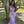 Blush Prom 12118 Lavender Sequin Fitted Dress with Train