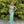 Blush Prom 12149 Lace Embroidered Fit-n-Flare Dress - Emerald, Eggplant or Fern Green