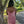 Blush Prom 12167 Velvet Sequin Dress with Slit - Antique Rose or Ocean