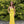 Cecilia Couture 1502 Pineapple Yellow Fitted Sheath Dress with Lace Up Back