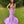 Vienna Prom 8256 Lilac High Neck Fitted 2-Piece Dress