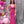 Blush Prom 20547 Fuchsia Pink Sequin Dress